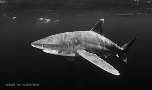 Oceanic in the dark by Ken Kiefer 